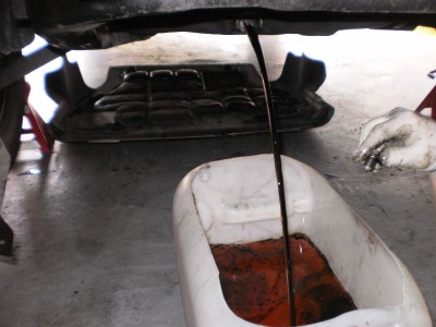 P3250592.JPG (482.33 KiB) Zobrazeno 91531 krát P3250592.JPG